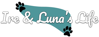 Ire and Luna's Life
